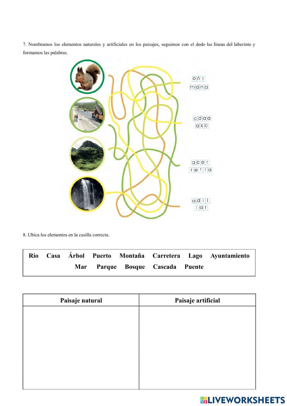 Cuestionario social studies