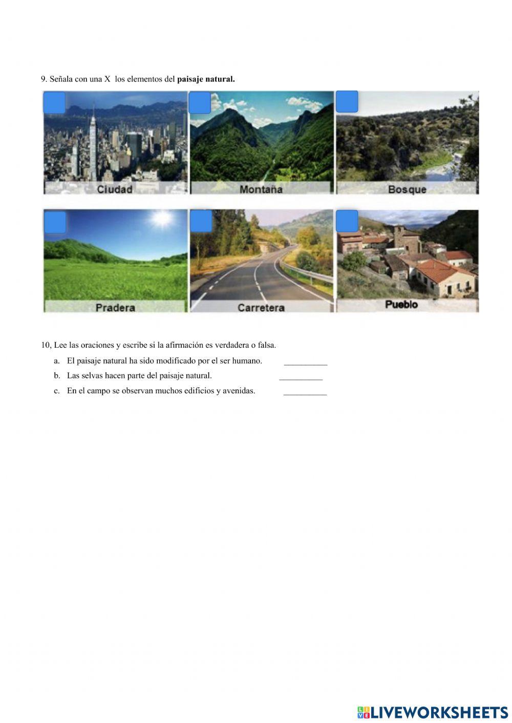 Cuestionario social studies