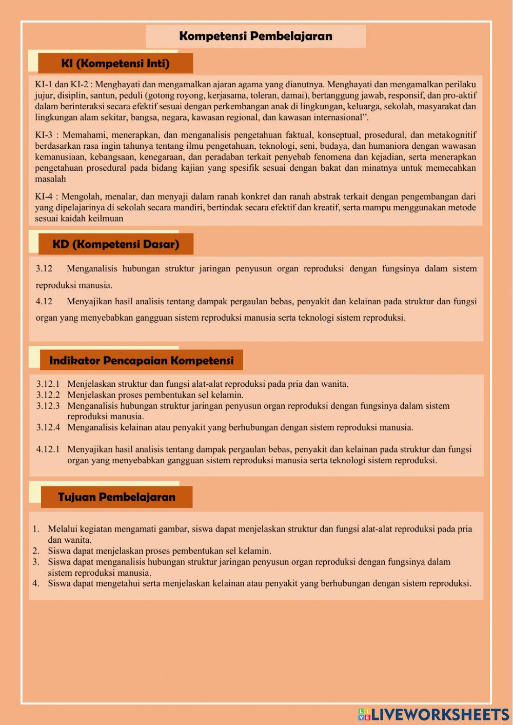 Sistem reproduksi manusia