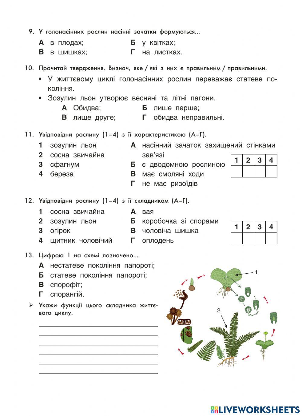 -Різноманітність рослин-Контрольна робота, 6 клас