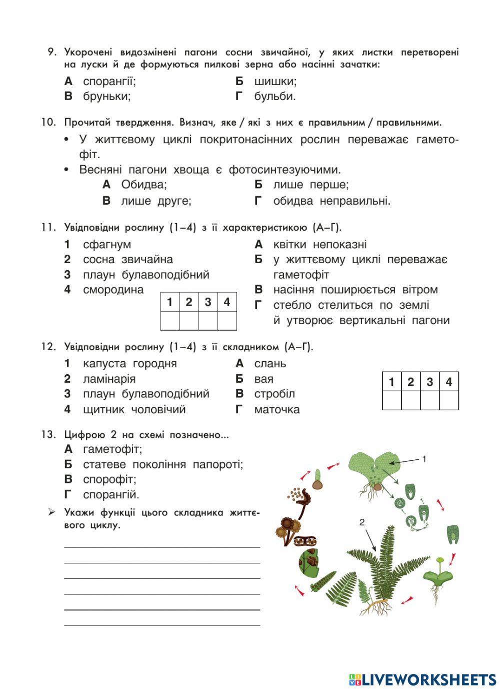 -Різноманітність рослин- Контрольна робота, 6 клас