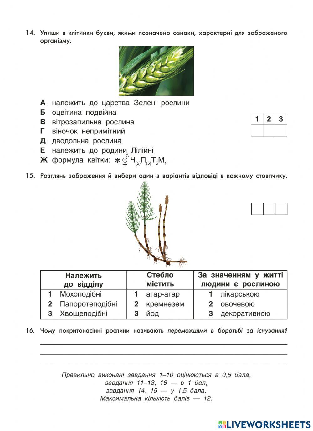 -Різноманітність рослин- Контрольна робота, 6 клас