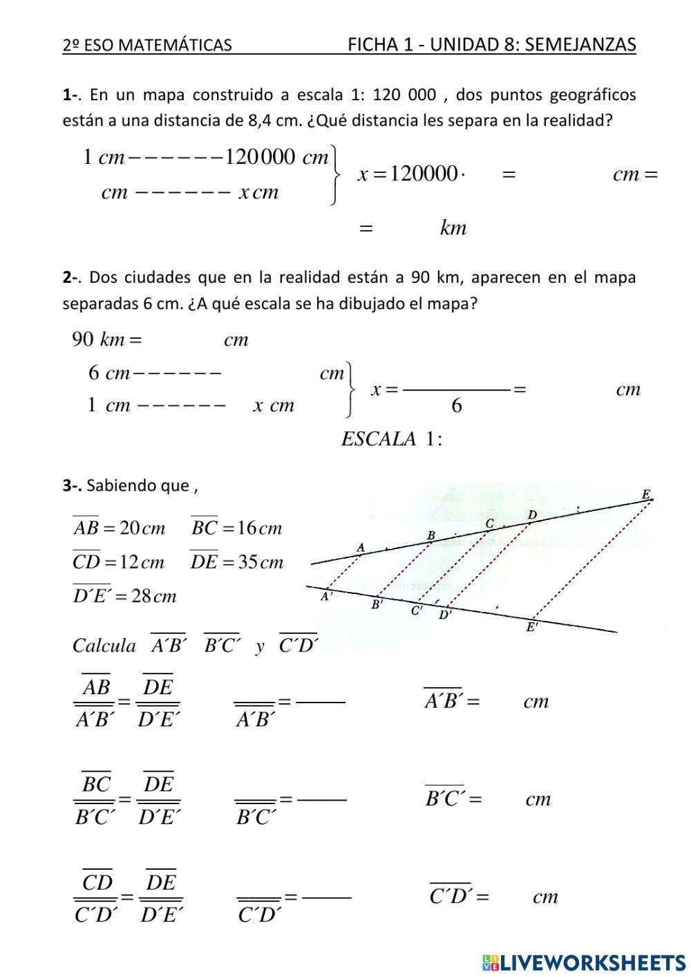 Ficha de semejanzas 1