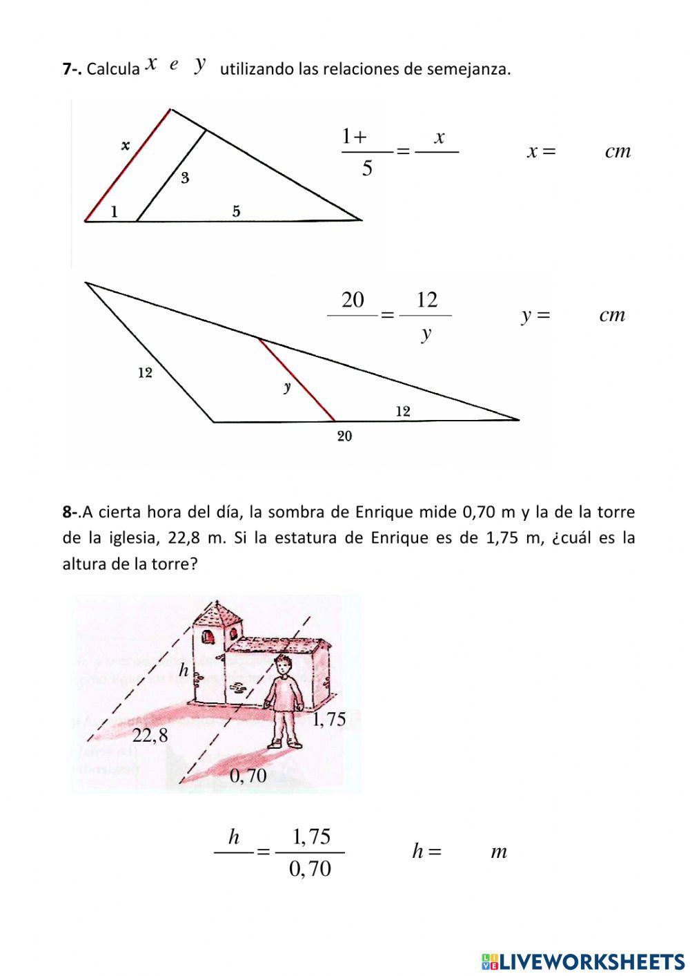 Ficha de semejanzas 1