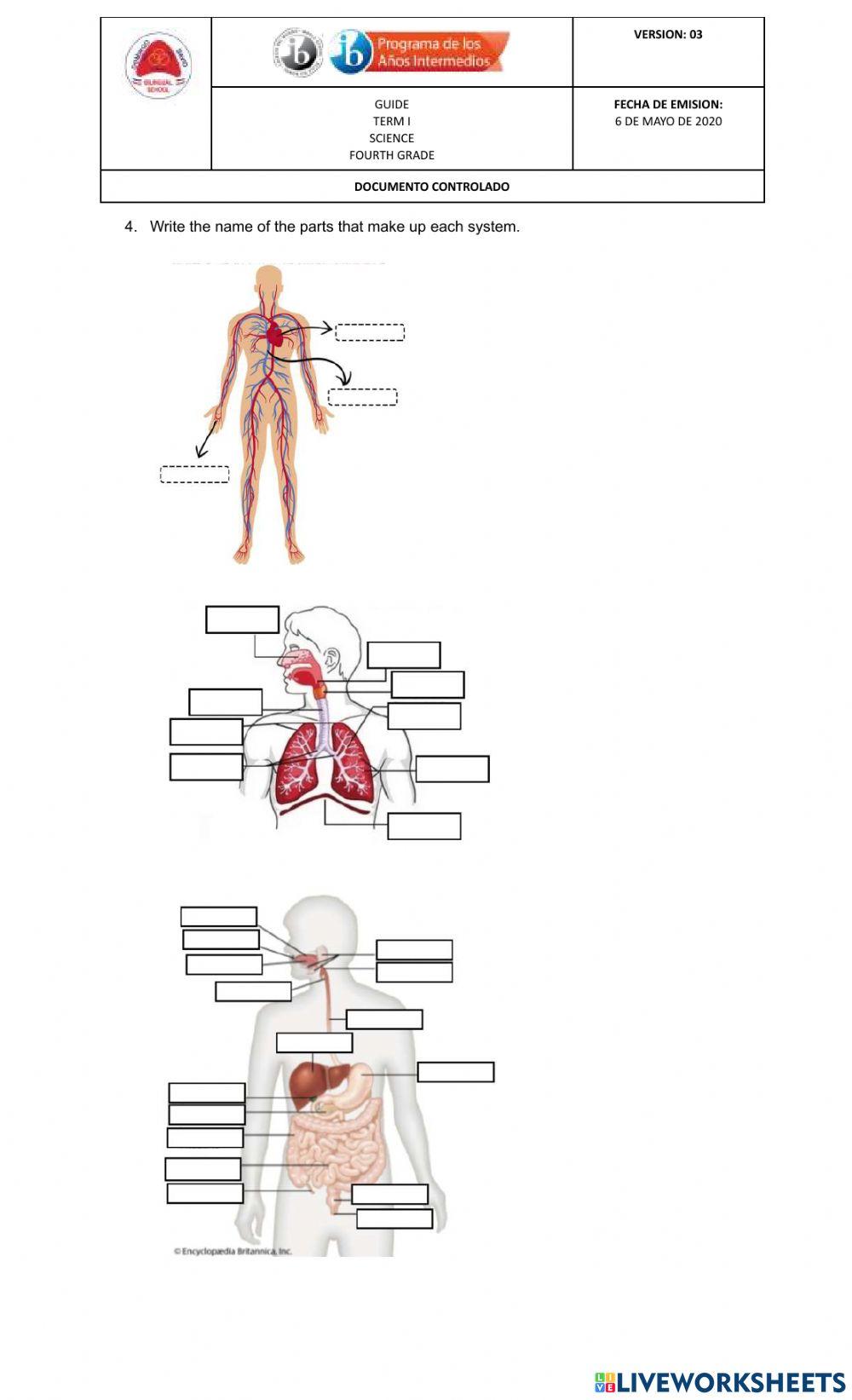 Science questtionarie