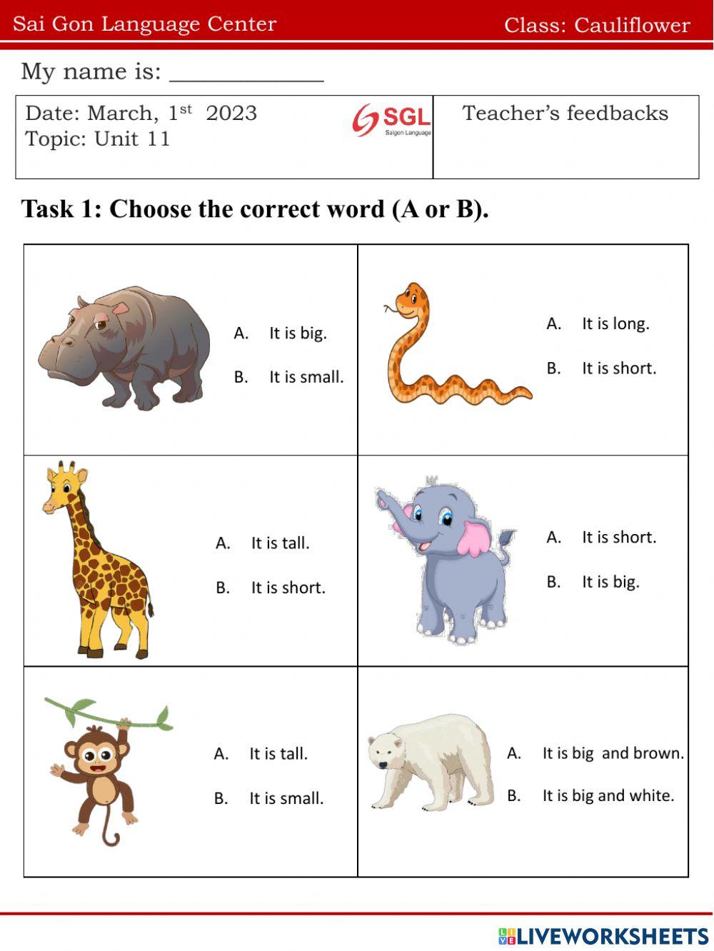 Cauli.FF1.U11(01.02)