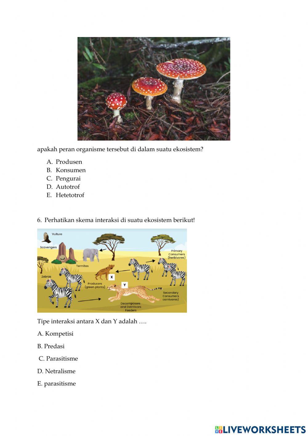 Komponen ekosistem dan interaksi antar komponen ekosistem