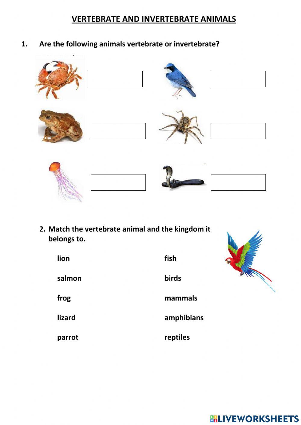 Vertebrate and Invertebrate animals