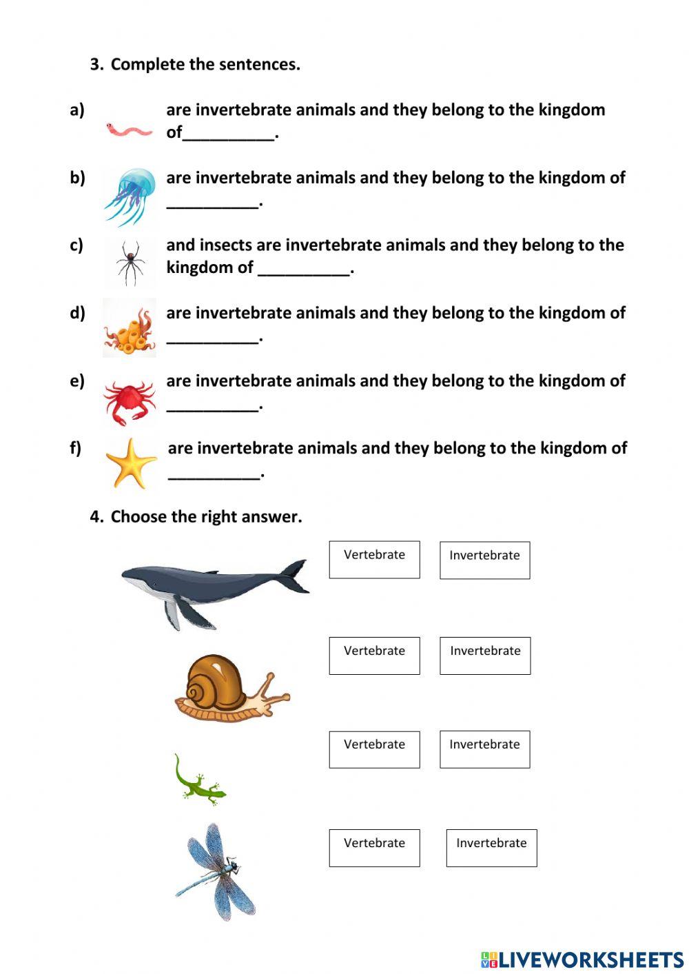 Vertebrate and Invertebrate animals