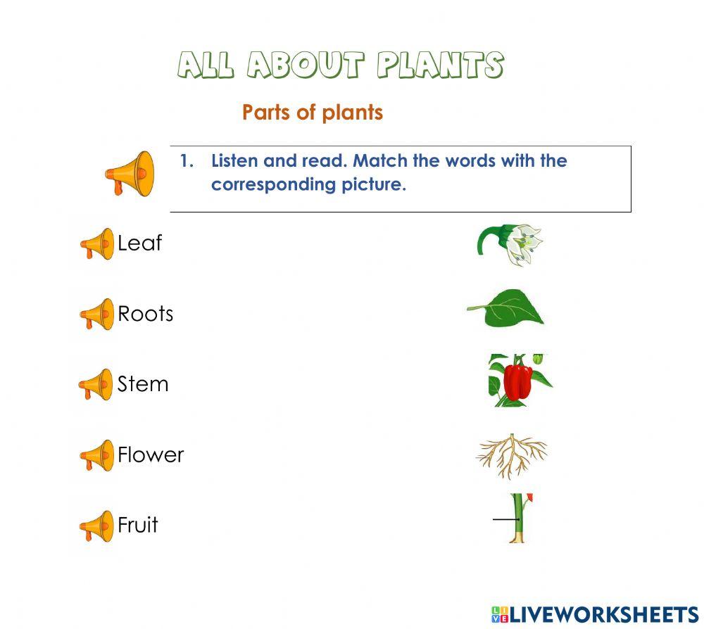 All about plants