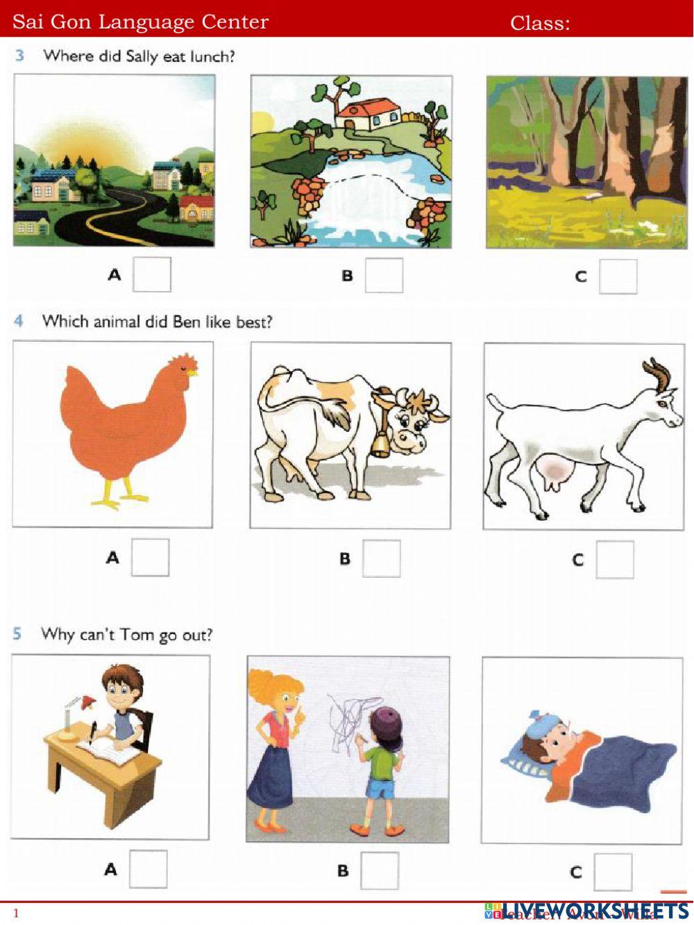 They're from Australia worksheet for Class: Goldfish + Taro | Live ...