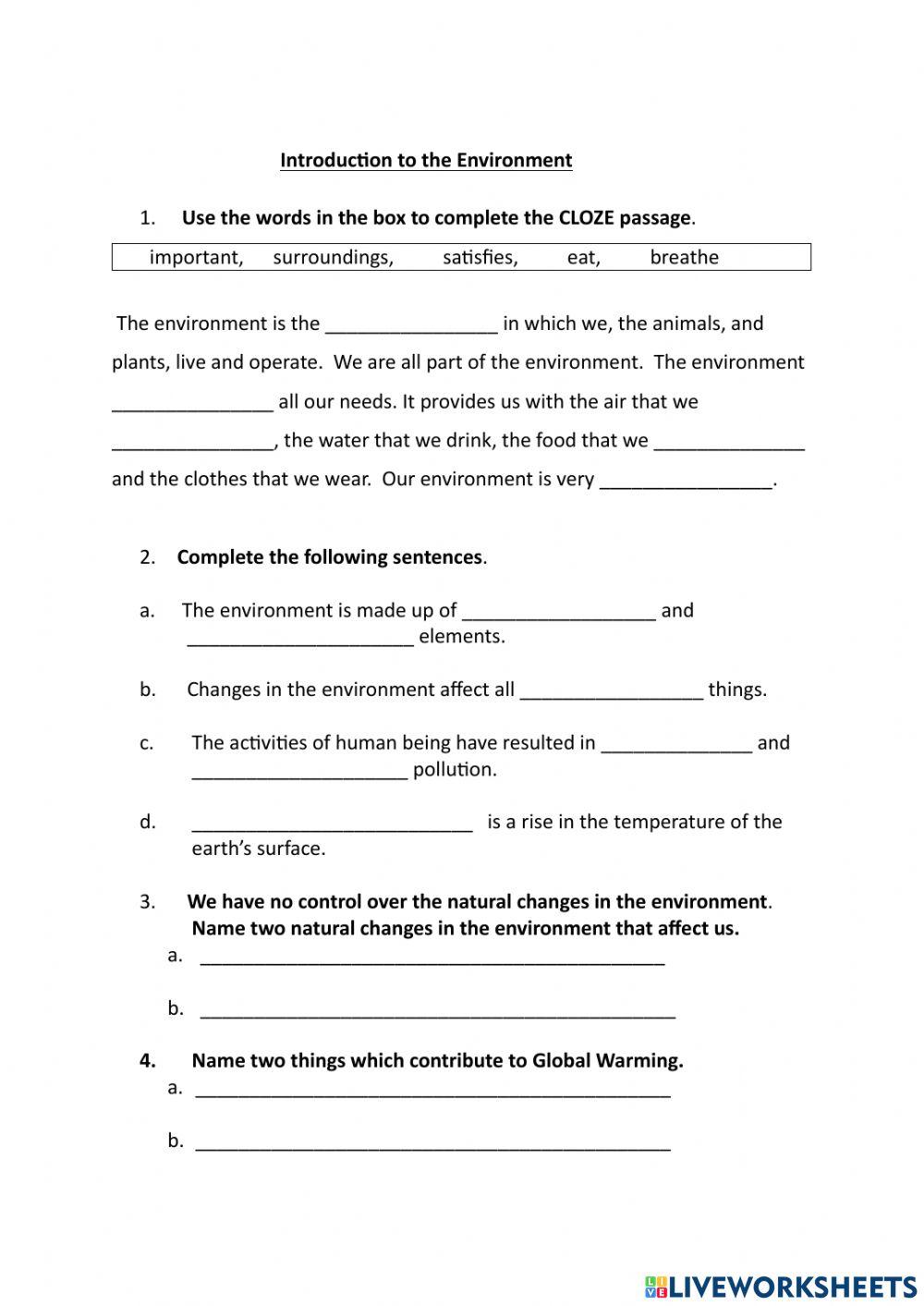 Introduction to the Environment