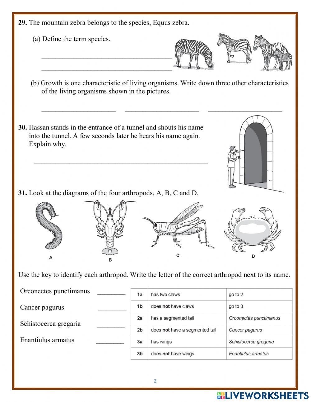 Sample Paper page 10 - 16