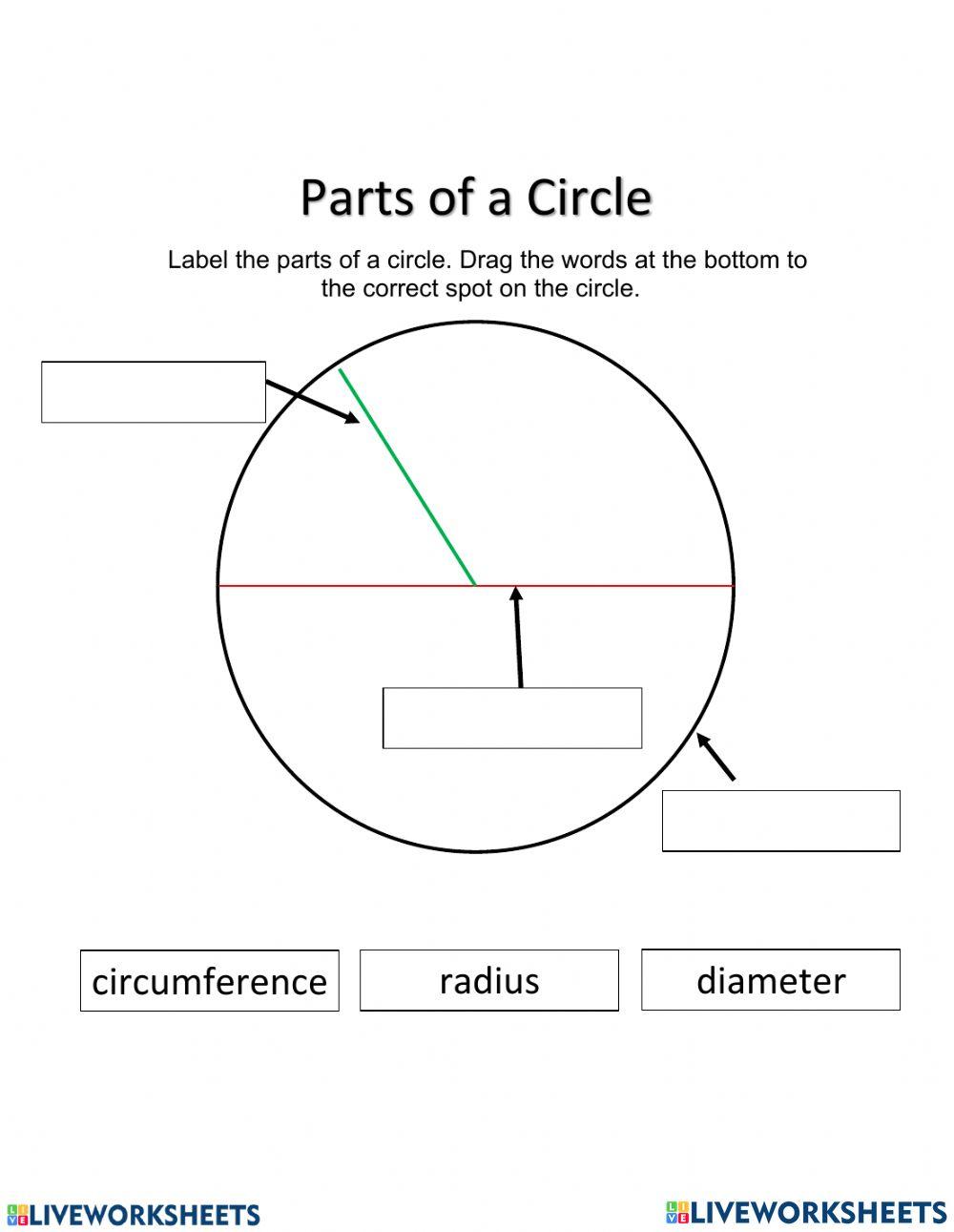 Circle Online Exercise For Live Worksheets circle-online-exercise-for-live-worksheets
