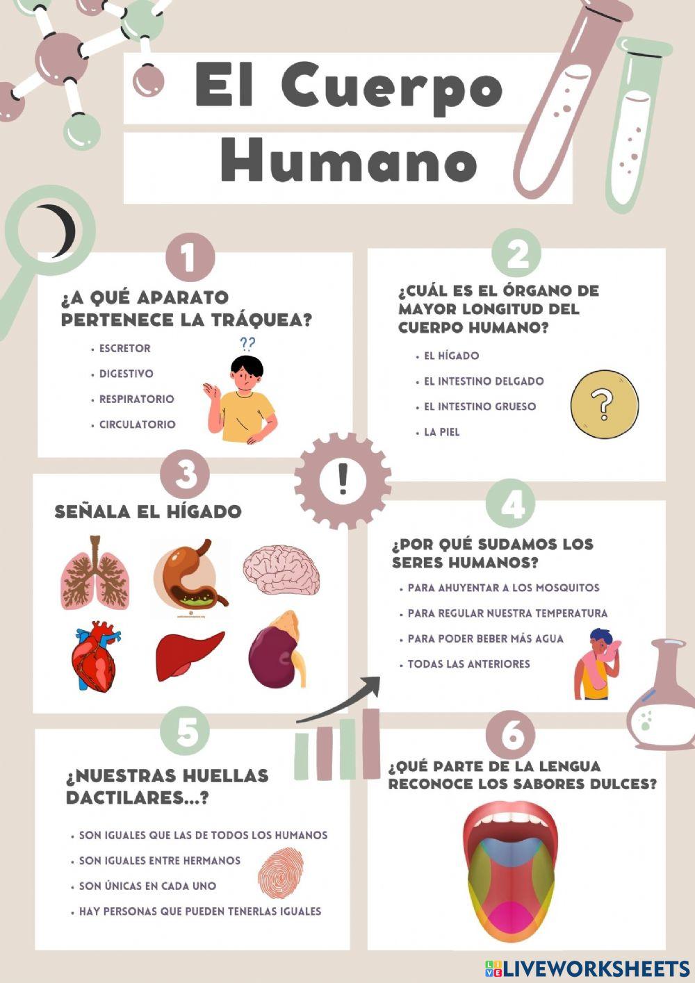Selección múltiple