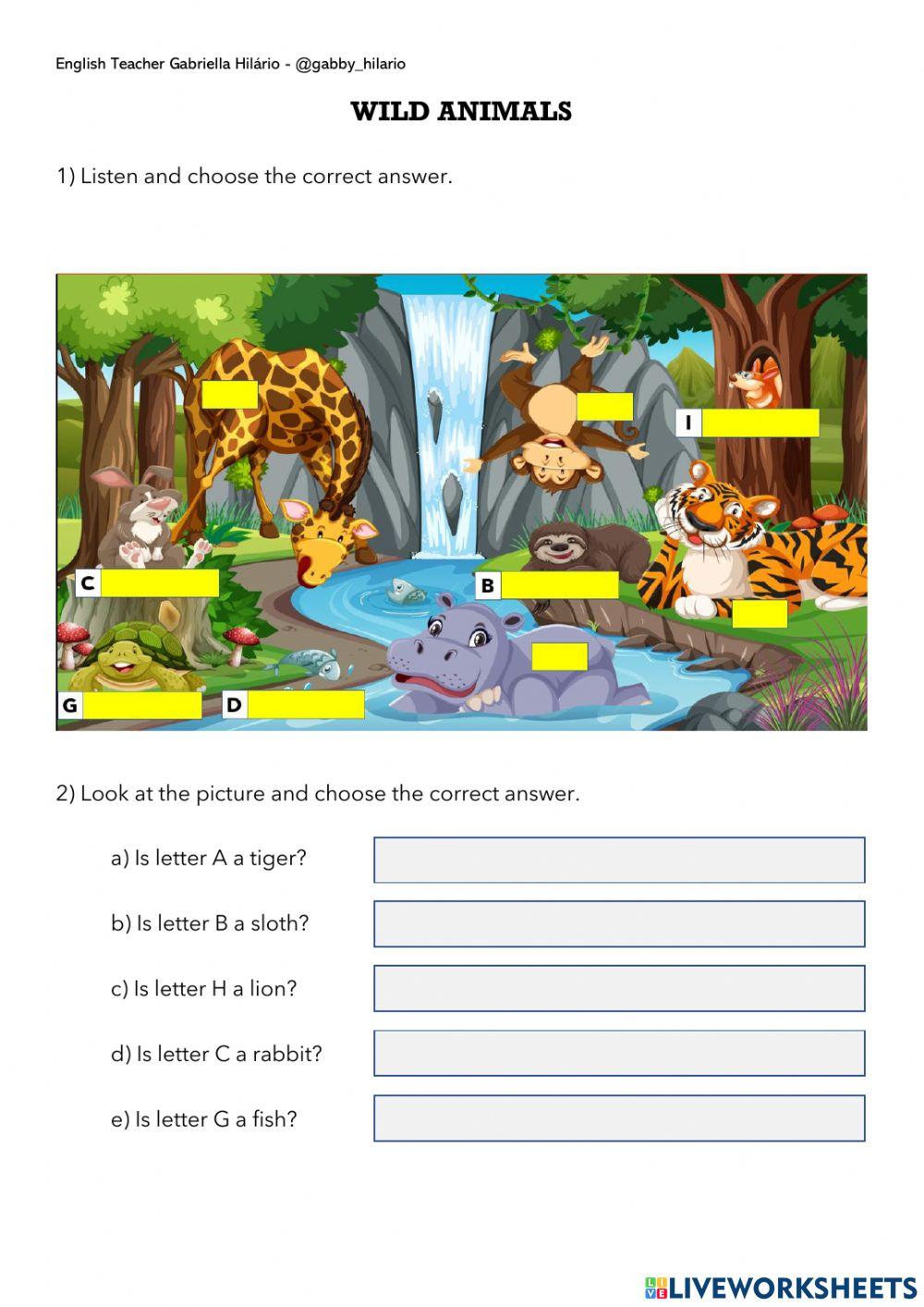 What and Yes No Questions