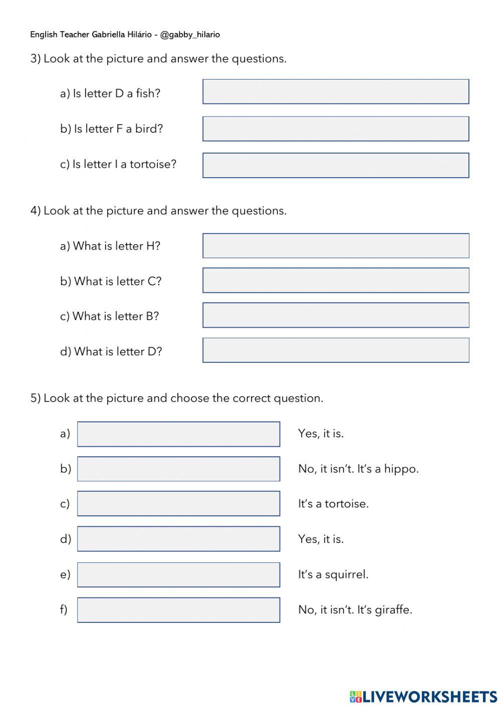 What and Yes No Questions