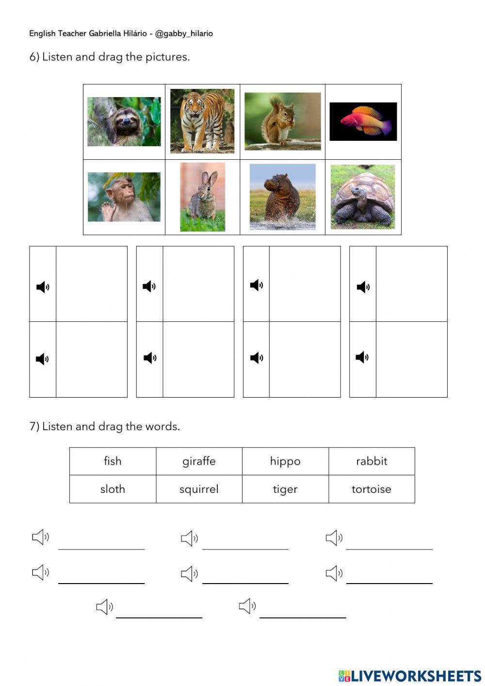 What and Yes No Questions