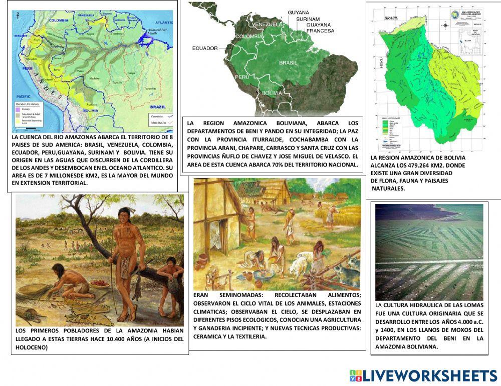 Culturas hidraulicas amazonicas