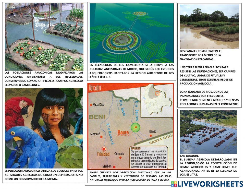 Culturas hidraulicas amazonicas