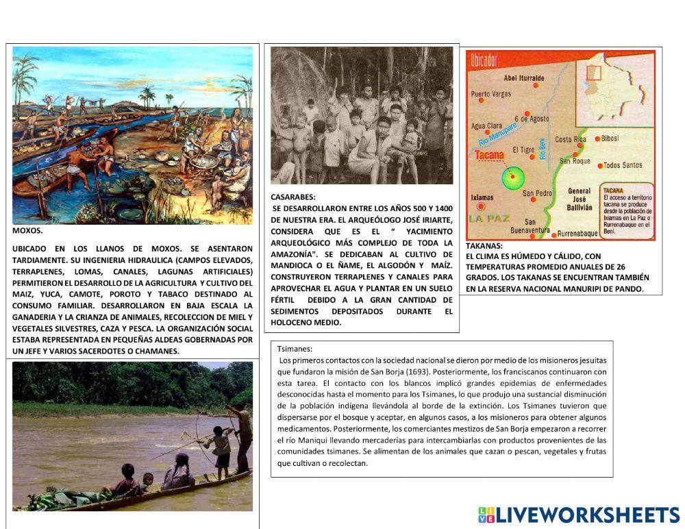 Culturas hidraulicas amazonicas