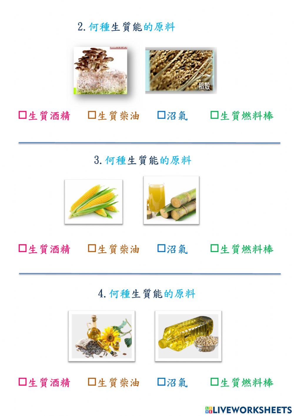 再生能源-生質能的來源配對