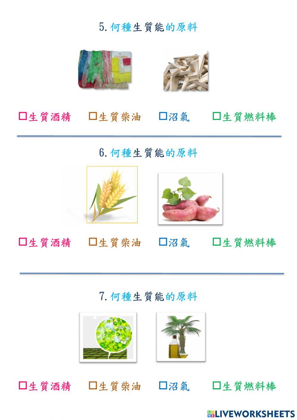 再生能源-生質能的來源配對