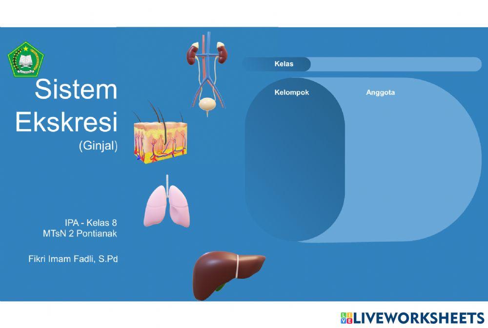 Sistem ekskresi kelas 8 mtsn 2 pontianak worksheet live worksheets