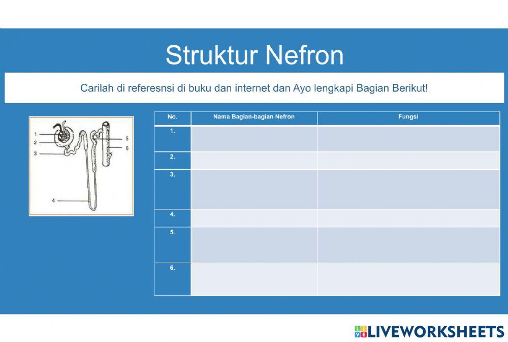 Sistem Ekskresi - Kelas 8 MTsN 2 Pontianak