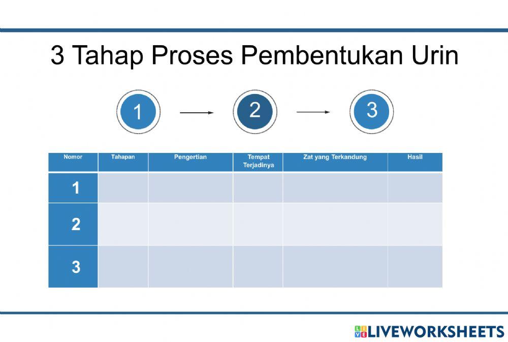 Sistem Ekskresi - Kelas 8 MTsN 2 Pontianak