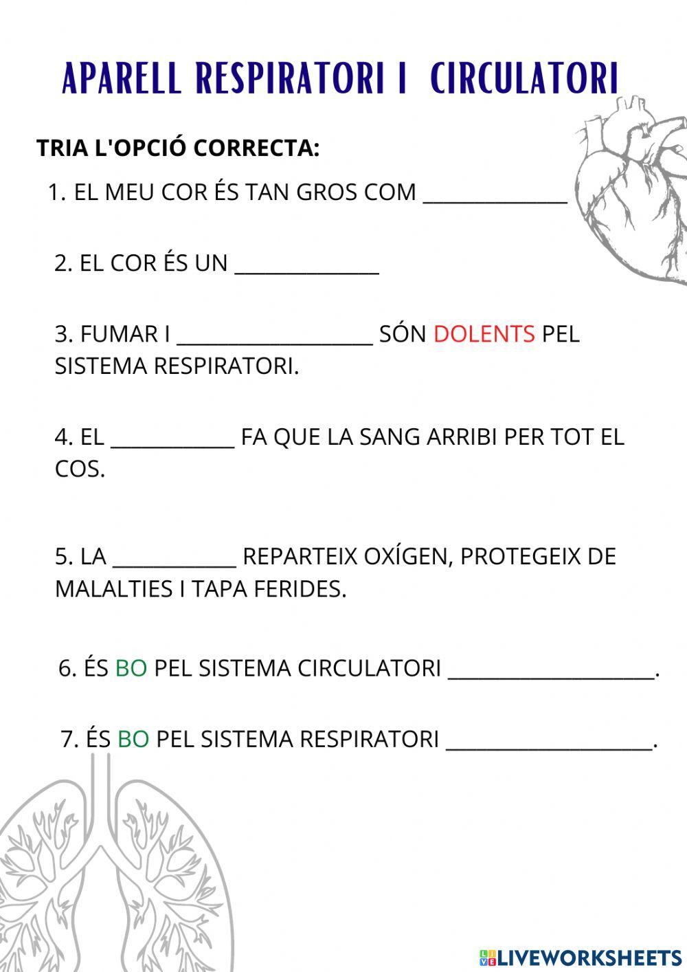 Repàs ciculació i respiracio