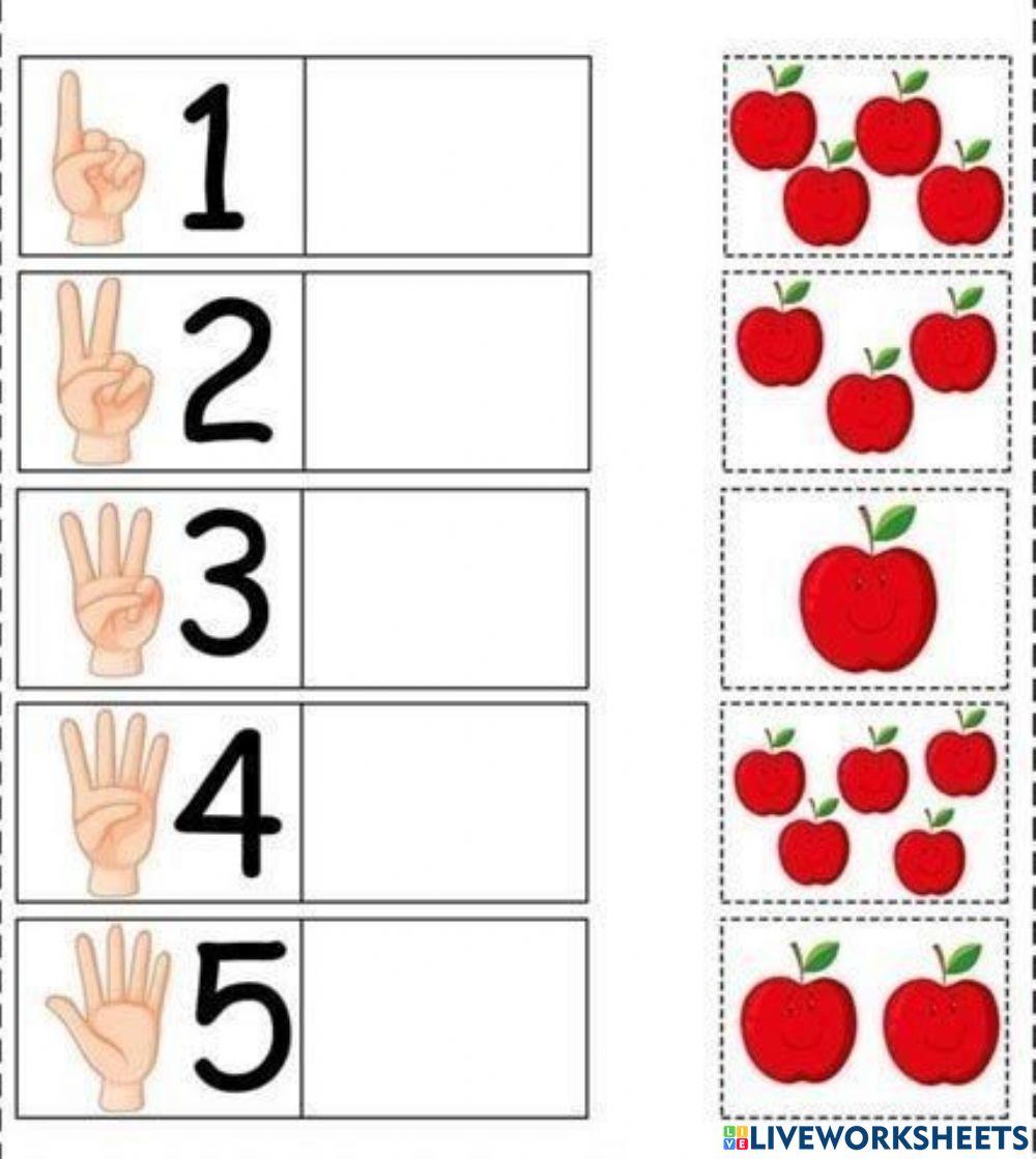 Підбери предмети відповідно до цифри worksheet | Live Worksheets
