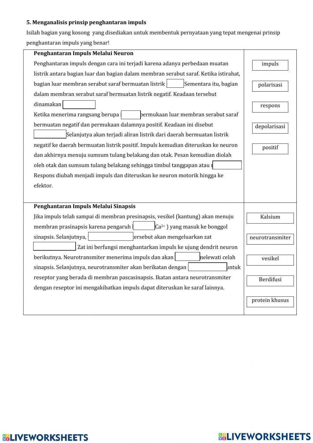 Sistem Saraf (Sistem Koordinasi)