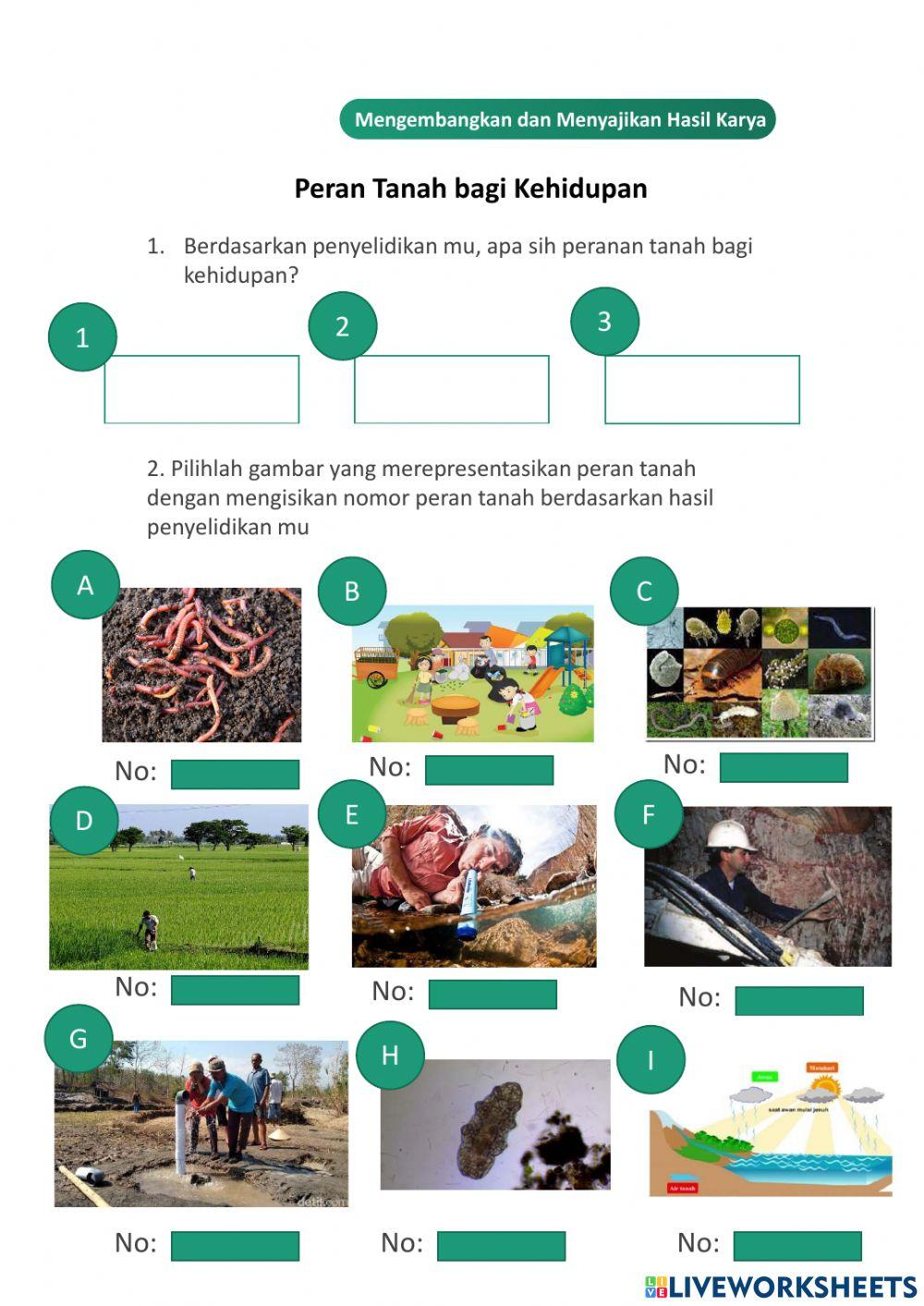 Tanah dan Keberlangsungan Kehidupan