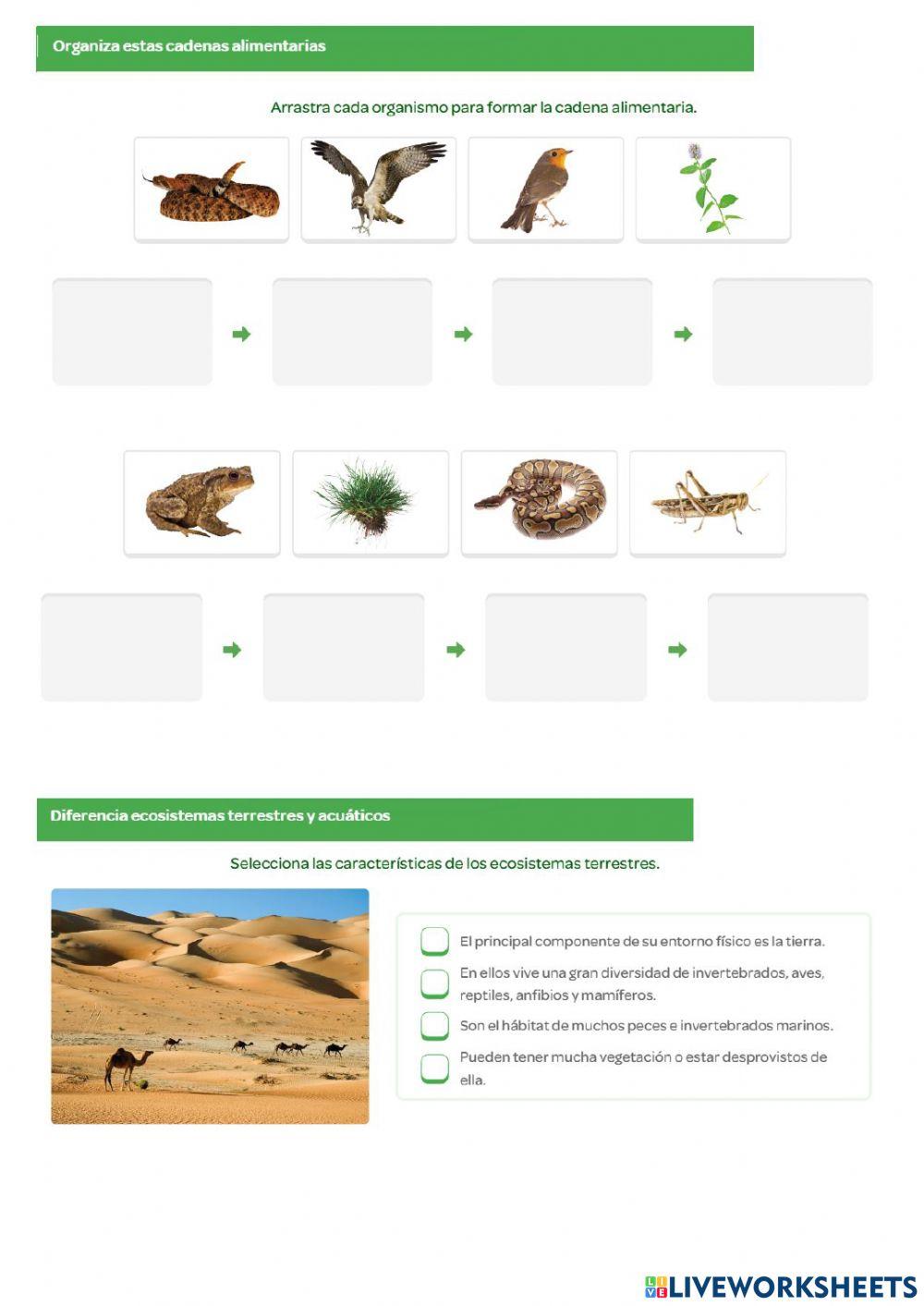 Repaso unidad 4: La vida en los ecosistemas