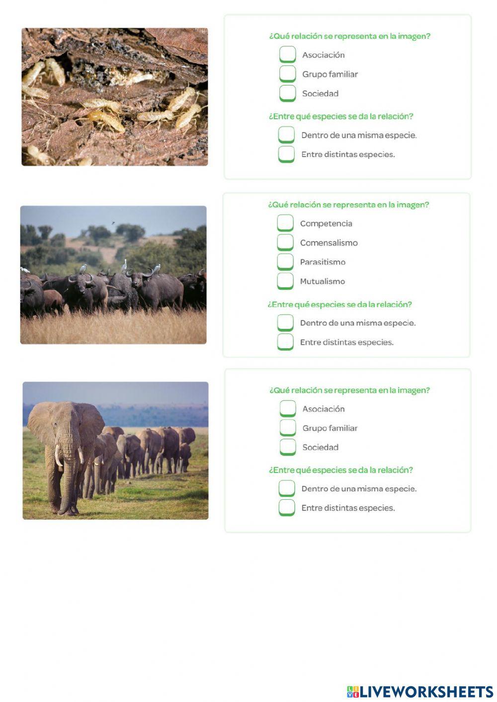 Repaso unidad 4: La vida en los ecosistemas