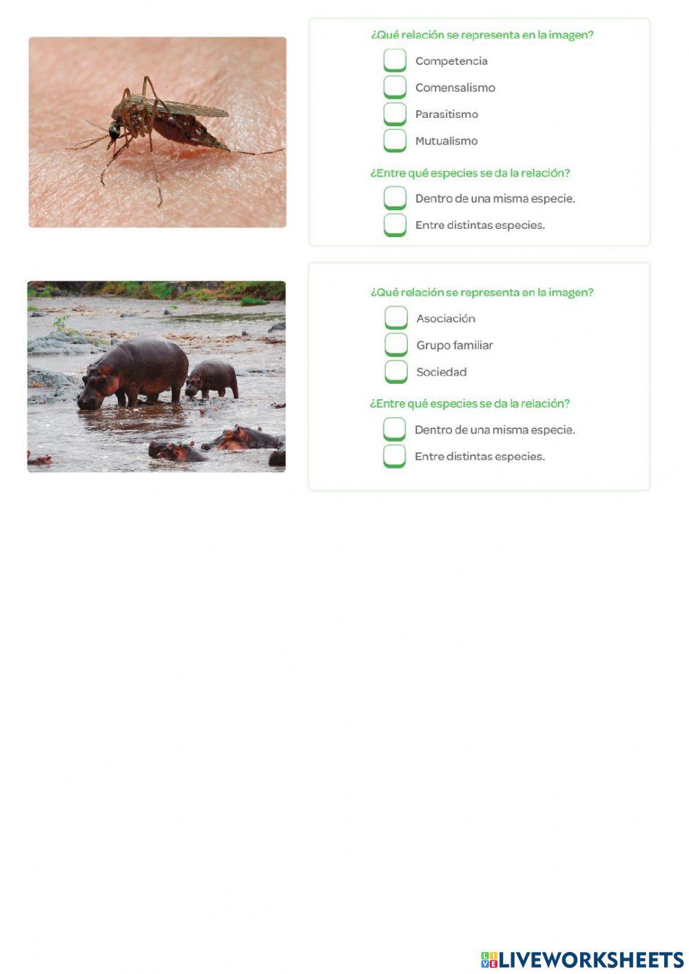 Repaso unidad 4: La vida en los ecosistemas