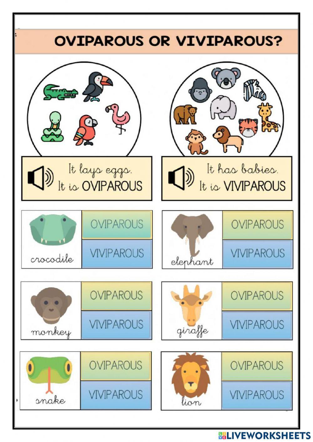 Oviparous or viviparous animals