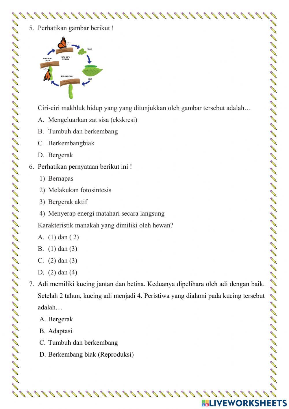 Penilaian sumatif tengah semester kelas 7