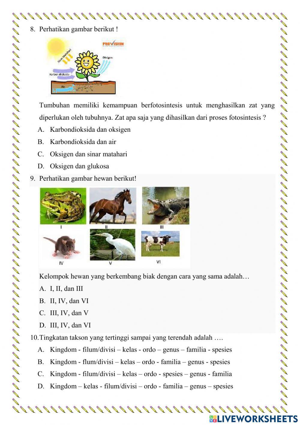 Penilaian sumatif tengah semester kelas 7