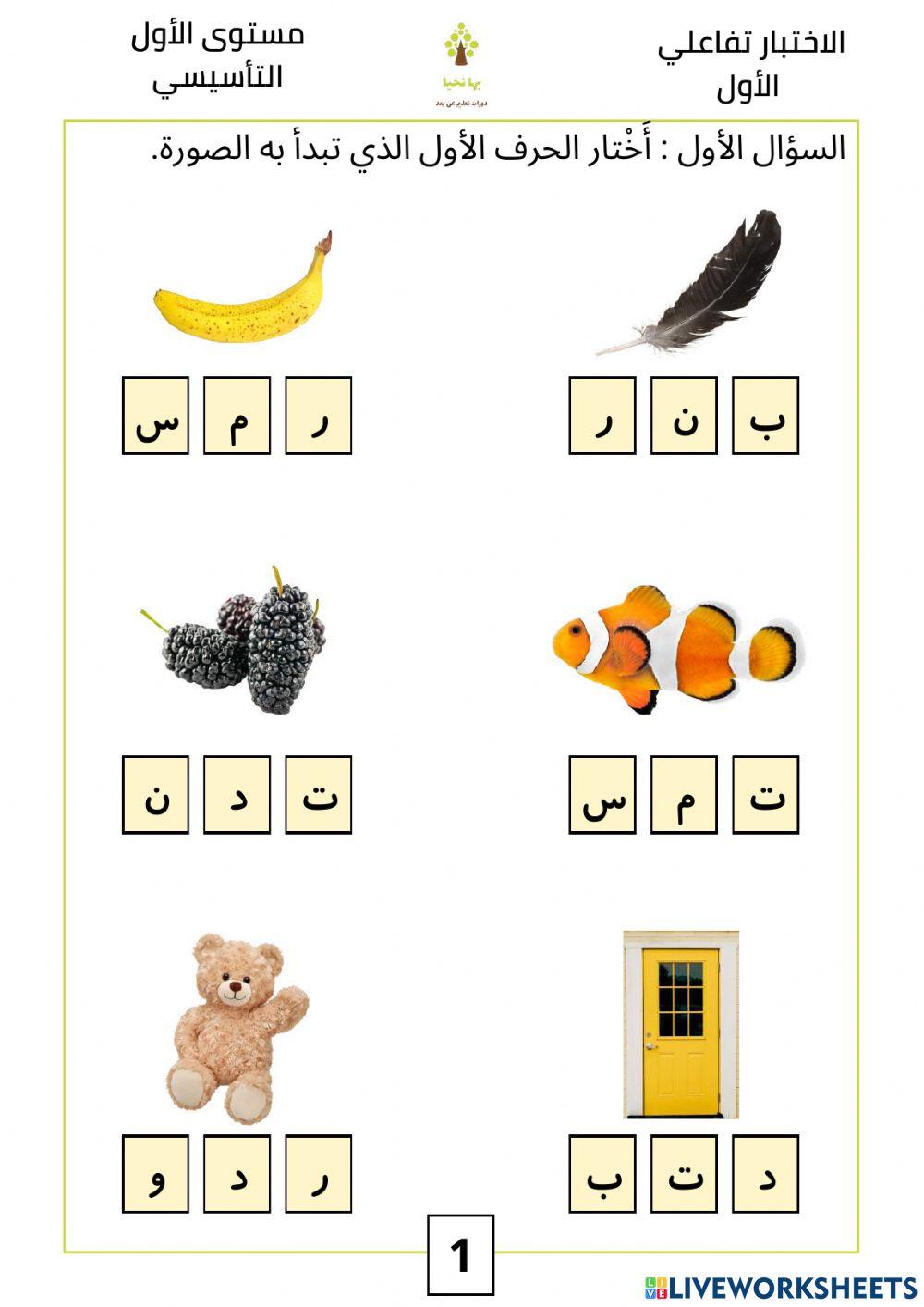 الاختبار الأول