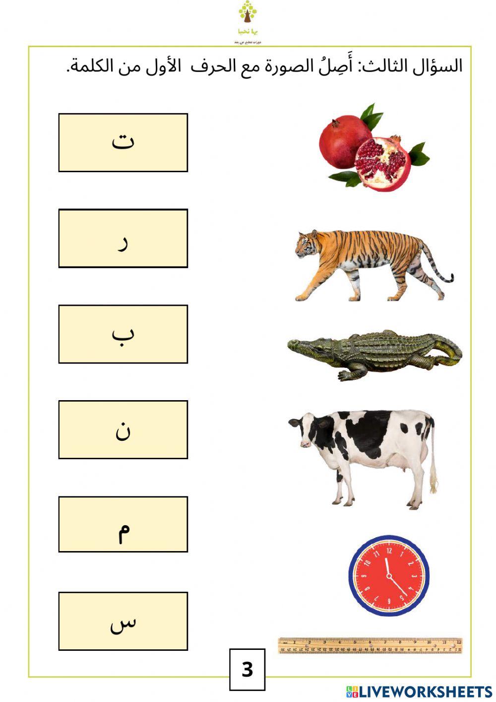 الاختبار الأول