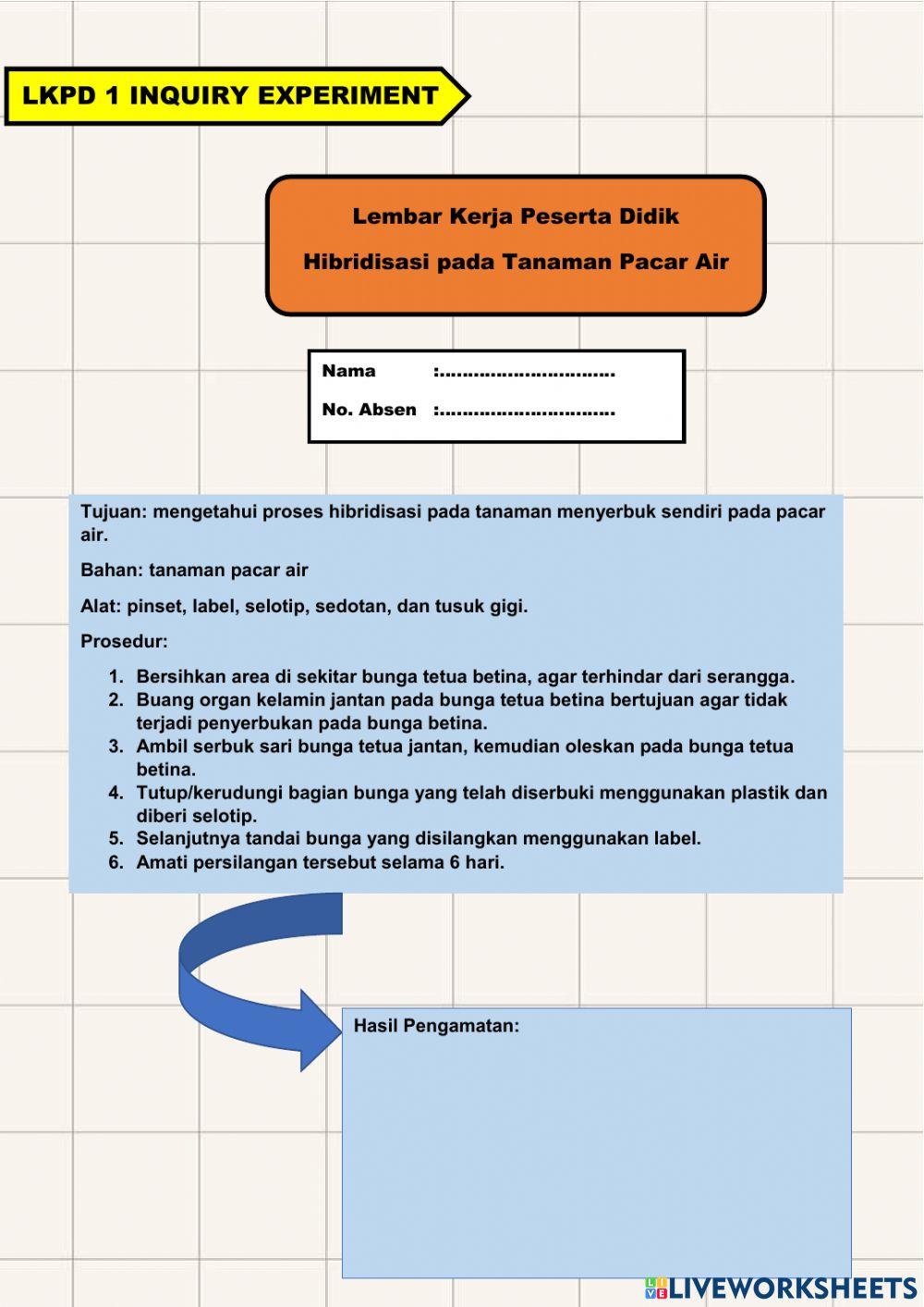 Hibridisasi pada Tumbuhan Pacar Air