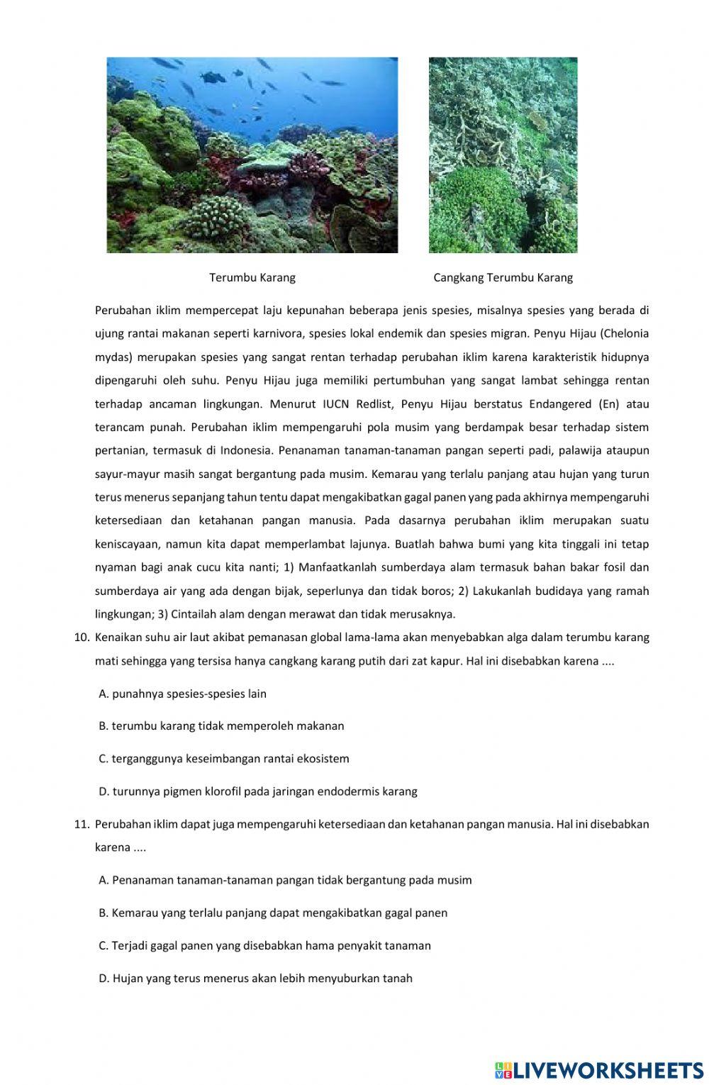 Latihan PTS Genap IPA 7