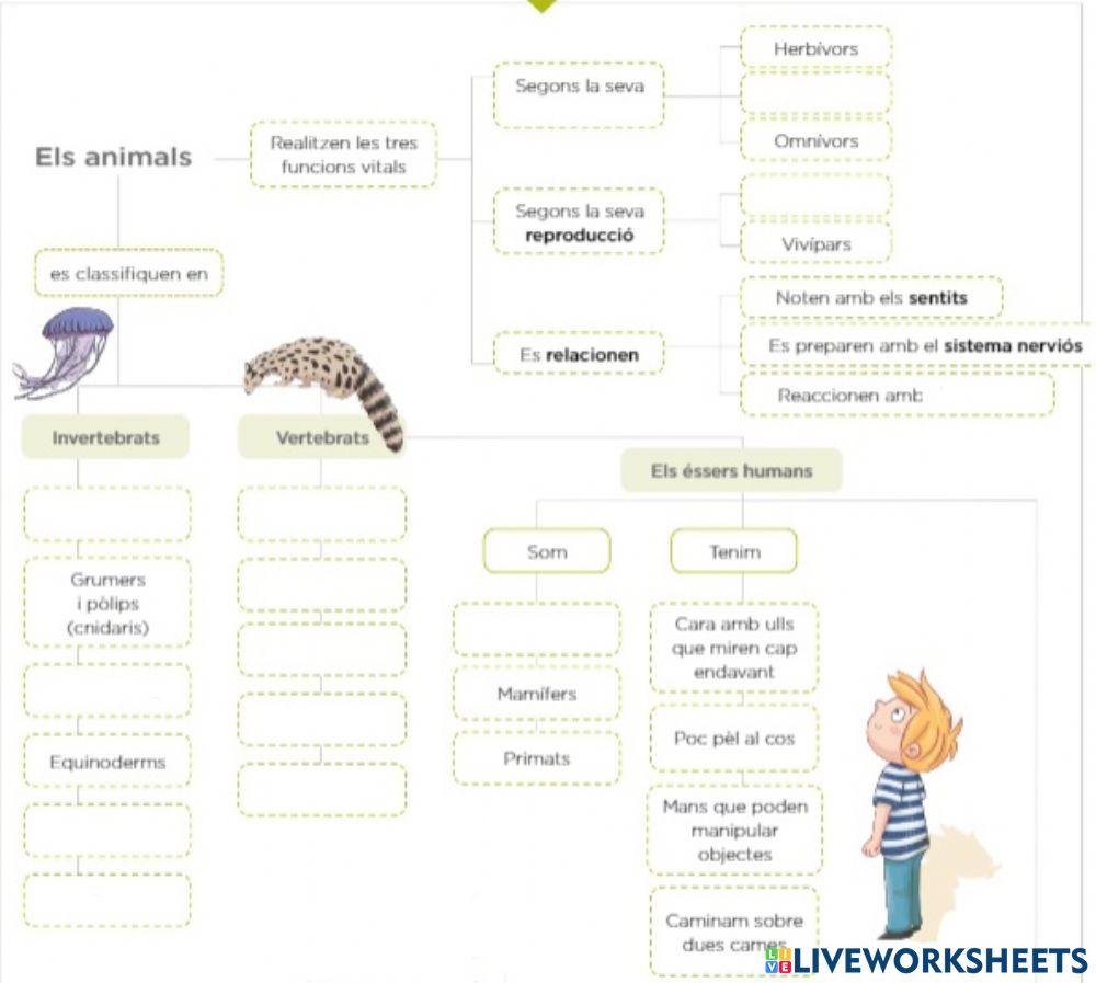 Classificació animals