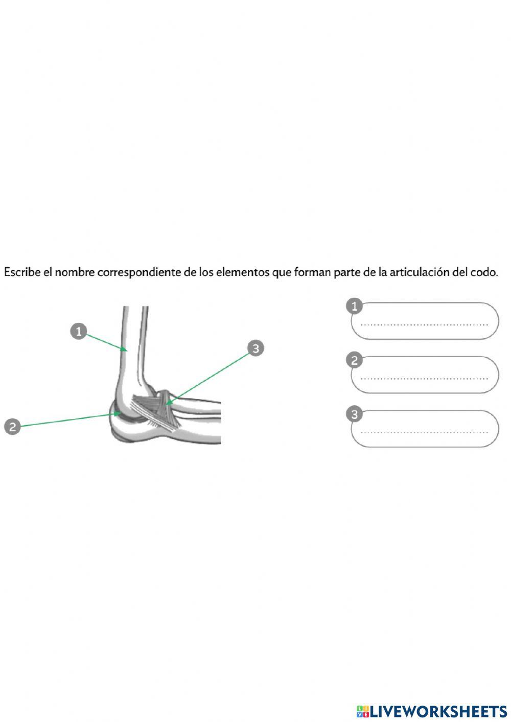 El cuerpo en movimiento