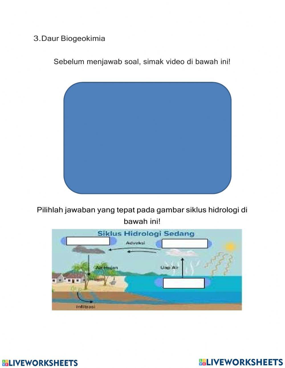 Sumatif Keanekaragaman Hayati