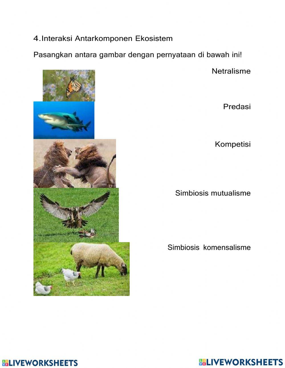 Sumatif Keanekaragaman Hayati