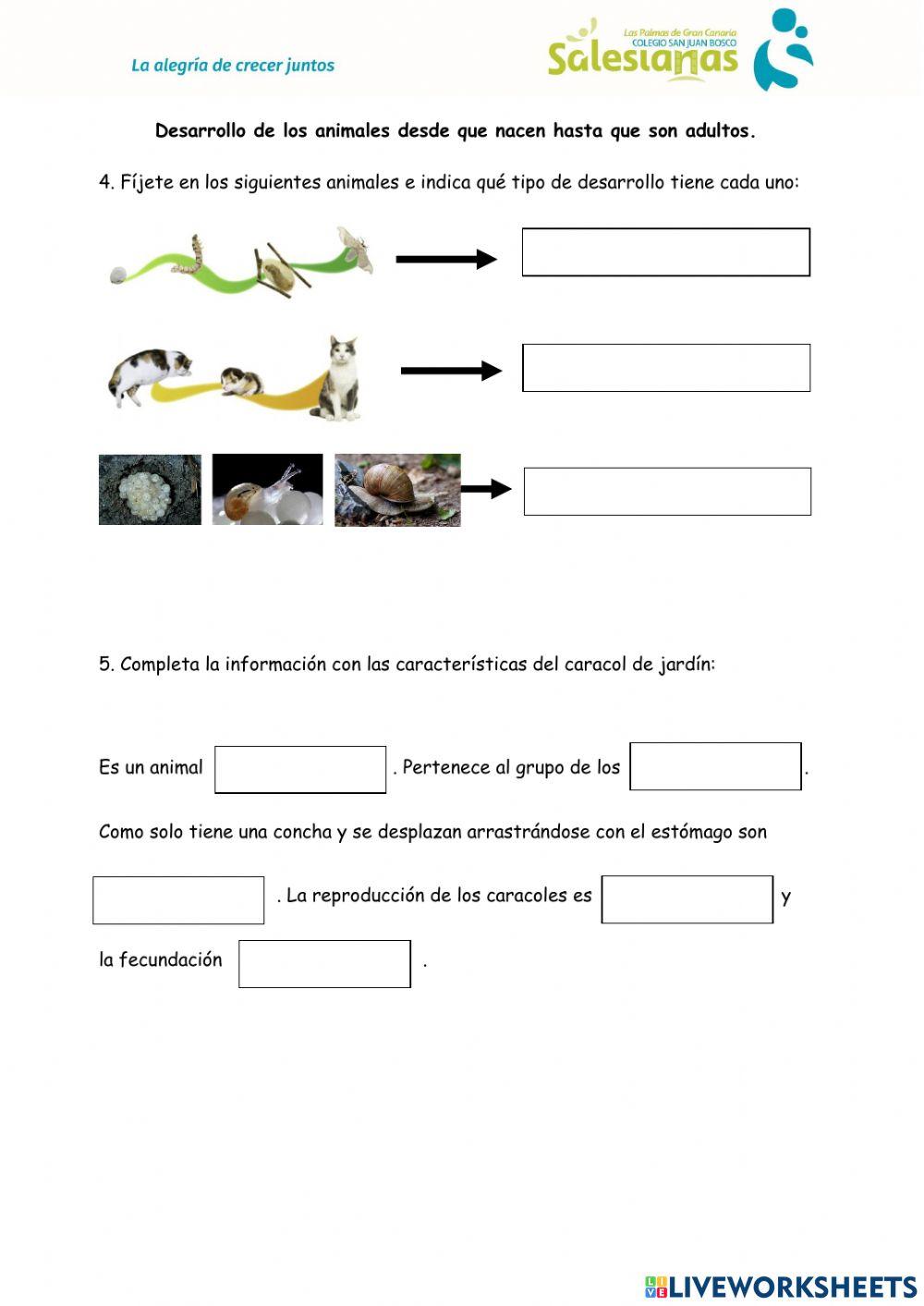 Desarrollo de las crías y características del caracol de jardín