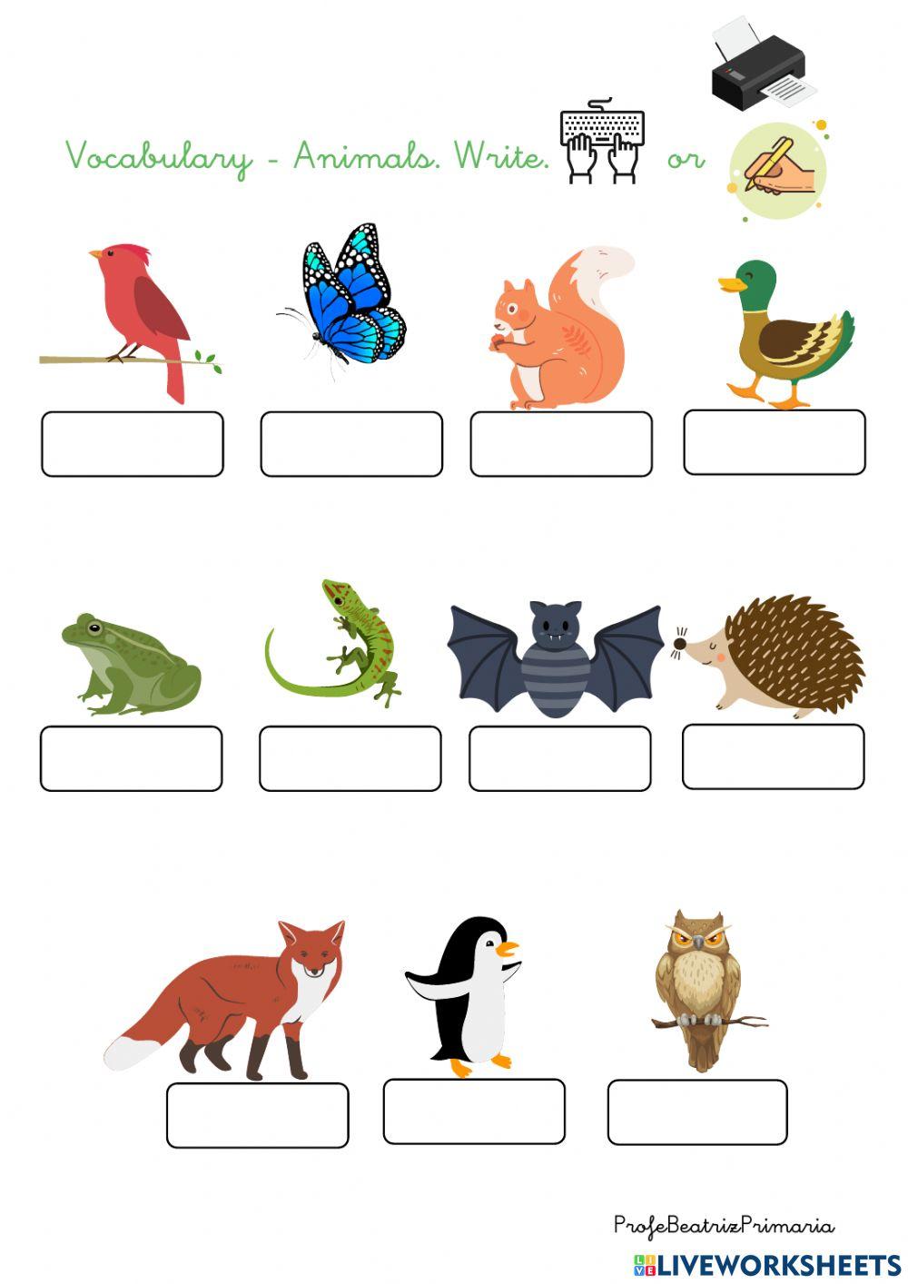 Go Far Year 2 U4 Animals everywhere - Vocabulary (I)